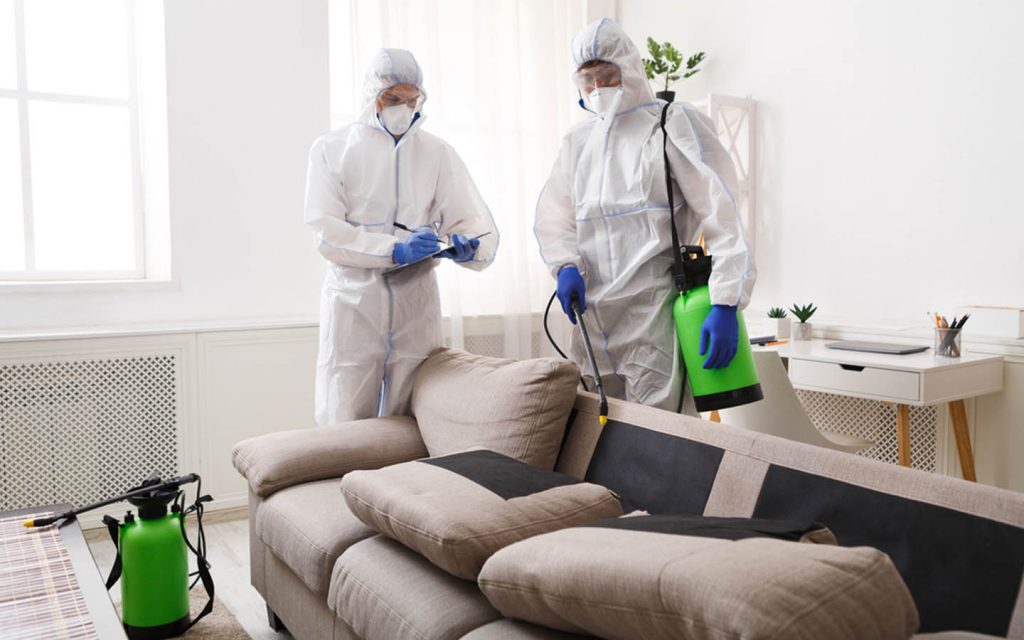 Pest Control Service