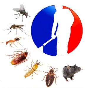 pest elimination