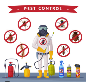 Thorough Pest Control by Aimpests