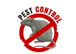Rodents Control Services In Sharjah