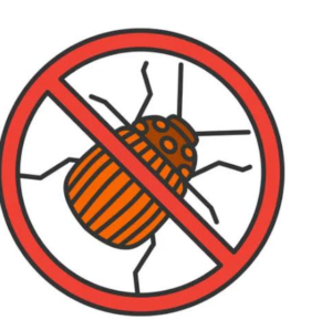 Houseflies Pest Control Services In Sharjah 