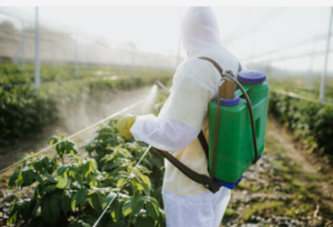 Pest control services in Agriculture 