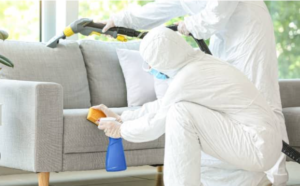 Precaution After Getting Pest Control Service