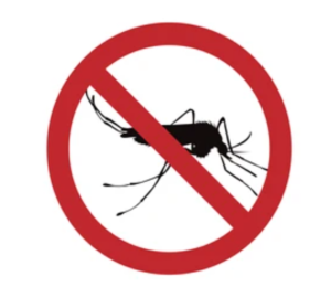 Mosquito Control Services in Sharjah