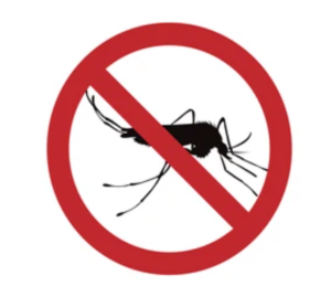Emergency Pest Control Services