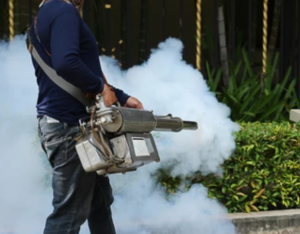 Fogging treatment services in Sharjah